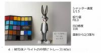ディフュージョントレペ(40g)