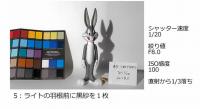 黒紗/白紗